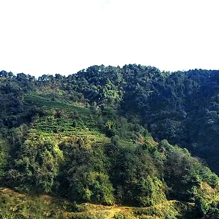佛足岭