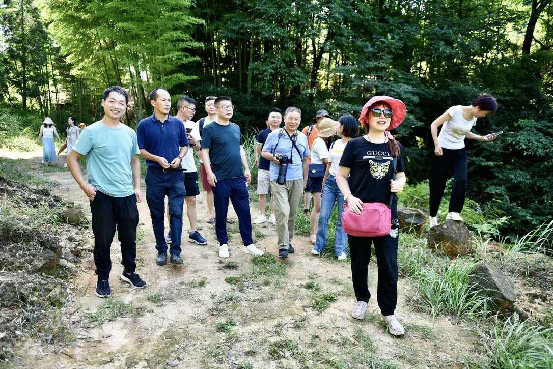 茶旅融合｜旅行社张总等率团考察天目贡茶基地